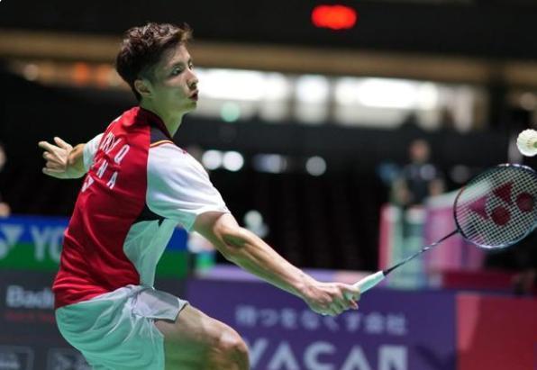 供了广阔的 供了广阔的